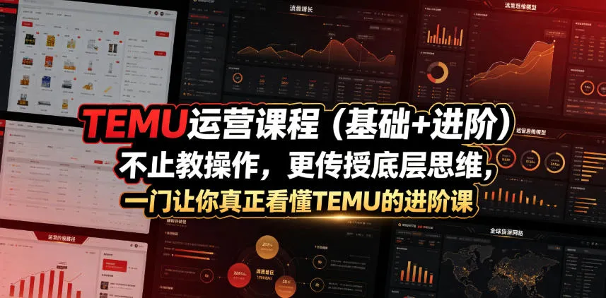 TEMU运营课程（基础+进阶），不止教操作，更传授底层思维，一门让你真正看懂TEMU的进阶课-知云阁资源站